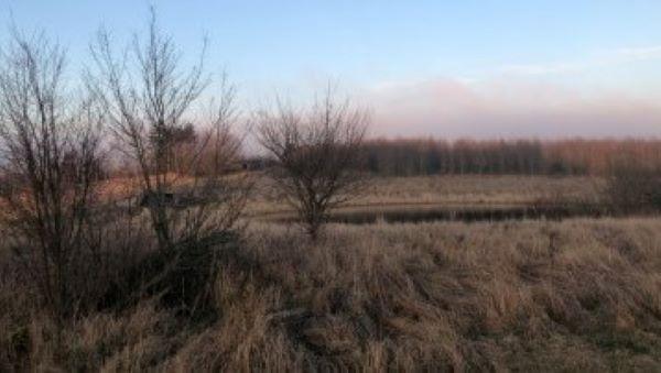 Udsigt fra Delområde D mod nord med vandhullet og Skolestien i baggrunden